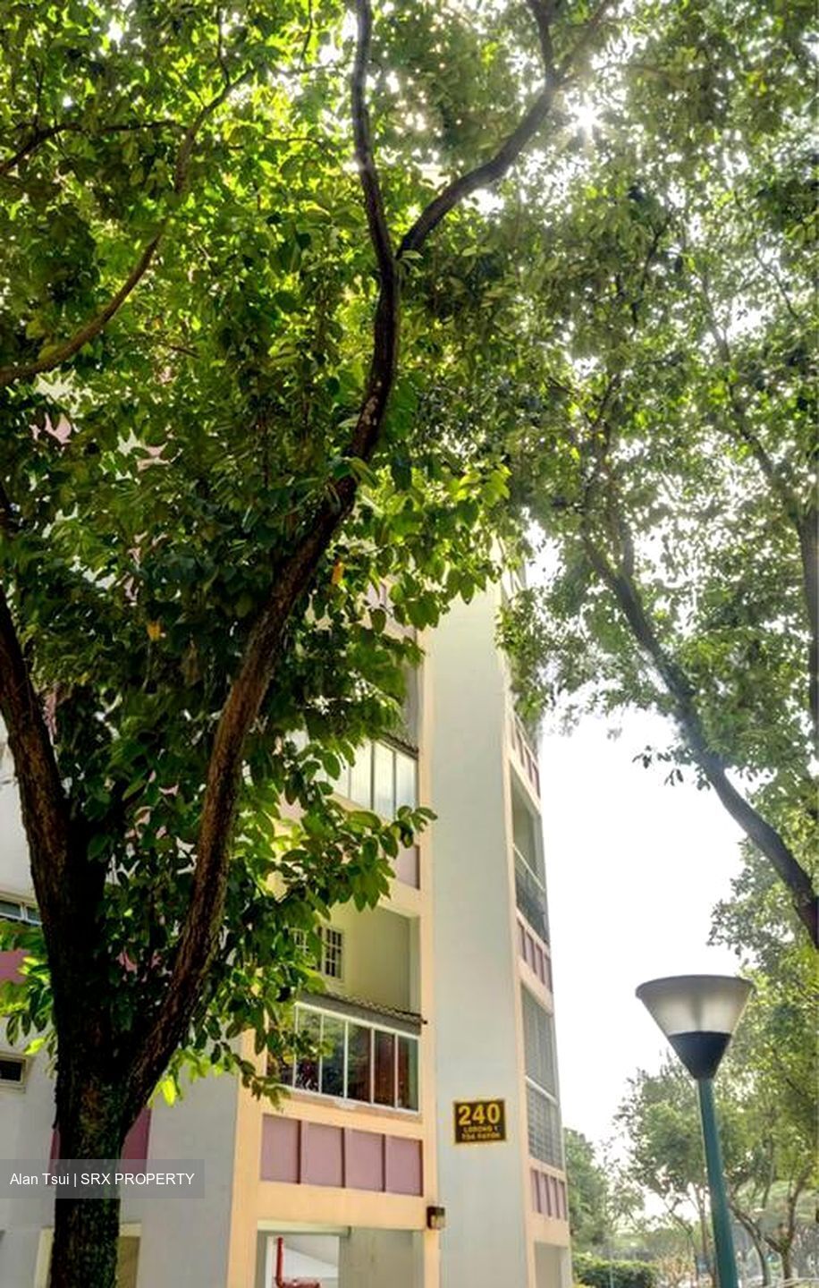 Blk 240 Lorong 1 Toa Payoh (Toa Payoh), HDB Executive #525910201